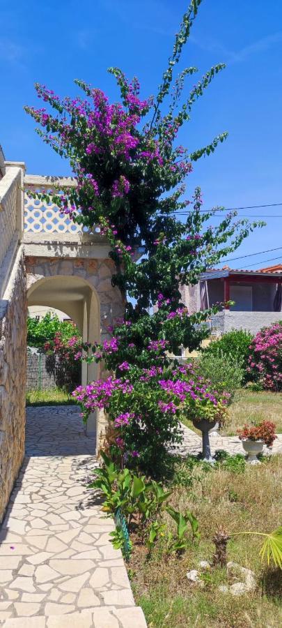 Villa Kadinela, 200M From Kamenjak, Huge Quiet Garden With Barbecue, 2 New Kitchens プレマントゥーラ エクステリア 写真