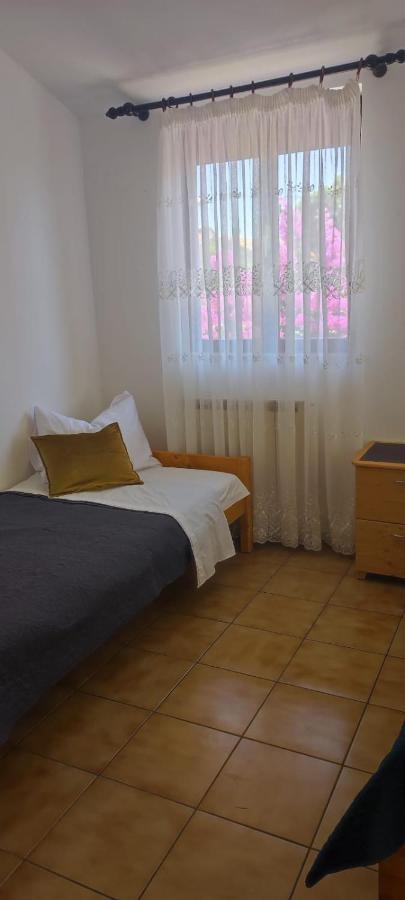 Villa Kadinela, 200M From Kamenjak, Huge Quiet Garden With Barbecue, 2 New Kitchens プレマントゥーラ エクステリア 写真