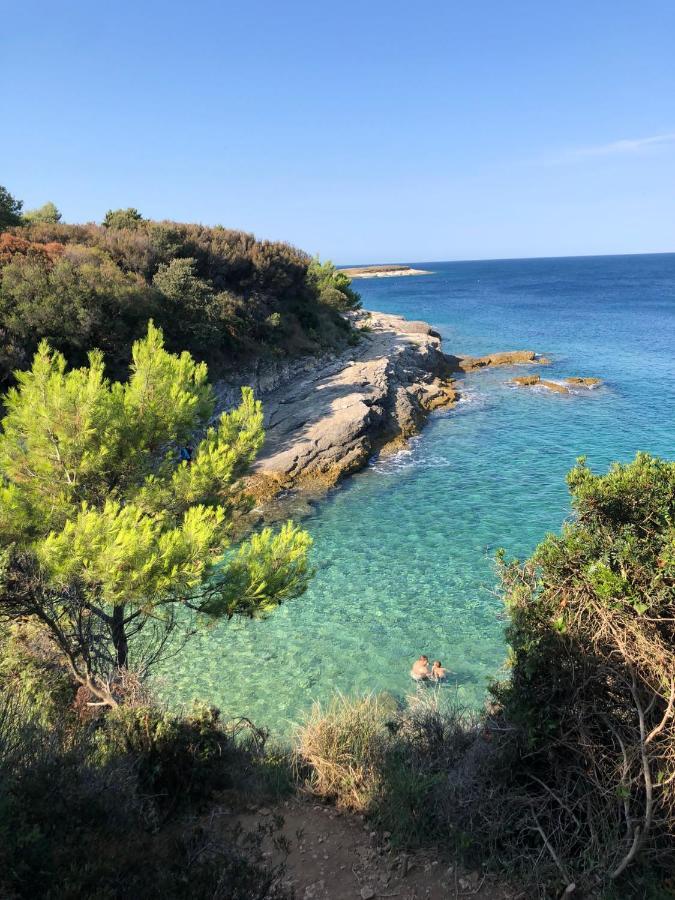 Villa Kadinela, 200M From Kamenjak, Huge Quiet Garden With Barbecue, 2 New Kitchens プレマントゥーラ エクステリア 写真