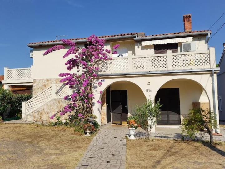 Villa Kadinela, 200M From Kamenjak, Huge Quiet Garden With Barbecue, 2 New Kitchens プレマントゥーラ エクステリア 写真
