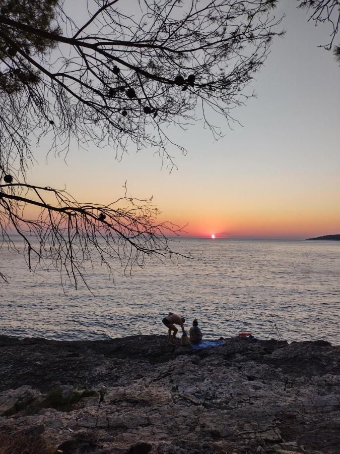 Villa Kadinela, 200M From Kamenjak, Huge Quiet Garden With Barbecue, 2 New Kitchens プレマントゥーラ エクステリア 写真