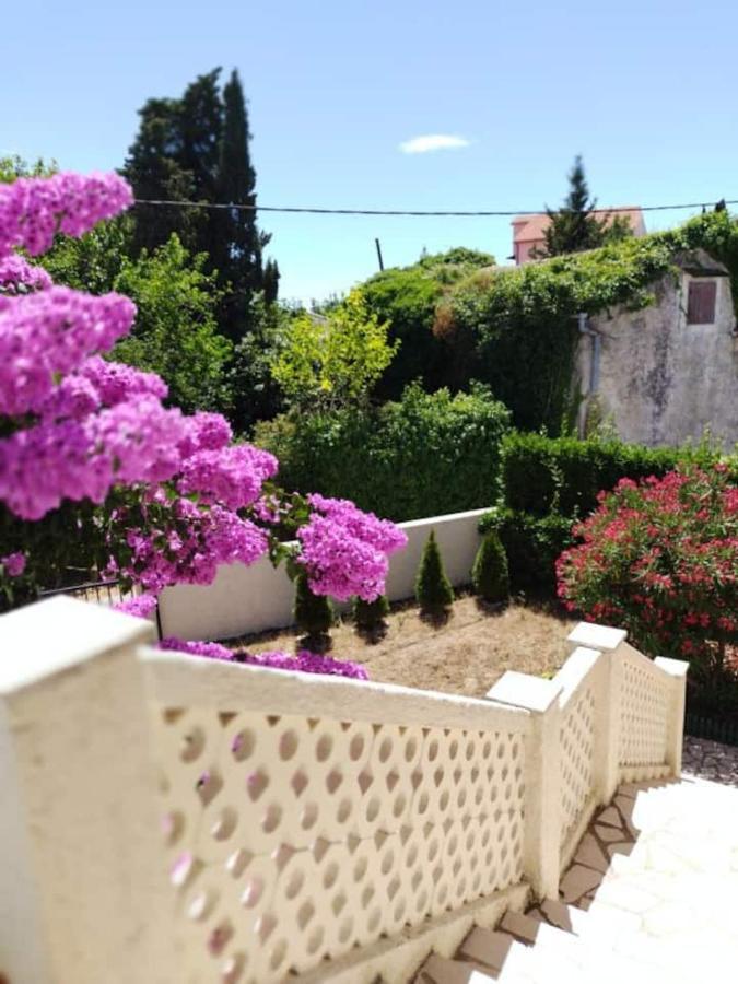 Villa Kadinela, 200M From Kamenjak, Huge Quiet Garden With Barbecue, 2 New Kitchens プレマントゥーラ エクステリア 写真