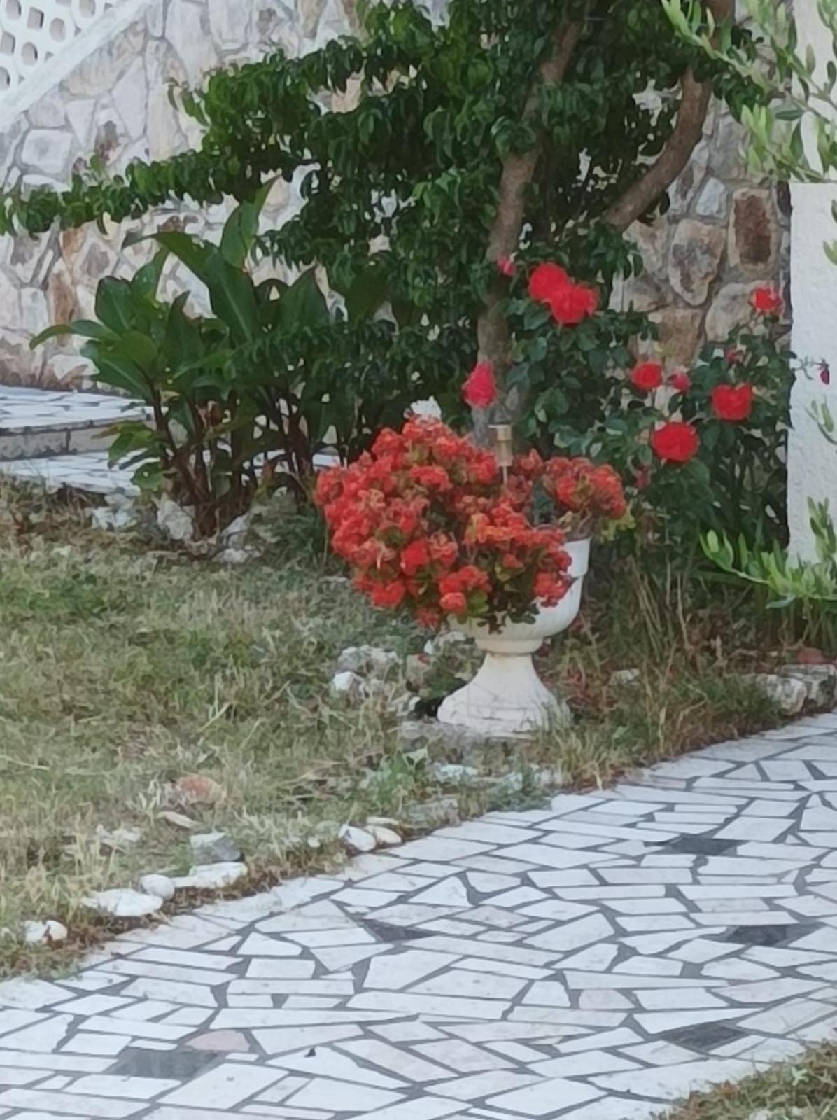 Villa Kadinela, 200M From Kamenjak, Huge Quiet Garden With Barbecue, 2 New Kitchens プレマントゥーラ エクステリア 写真